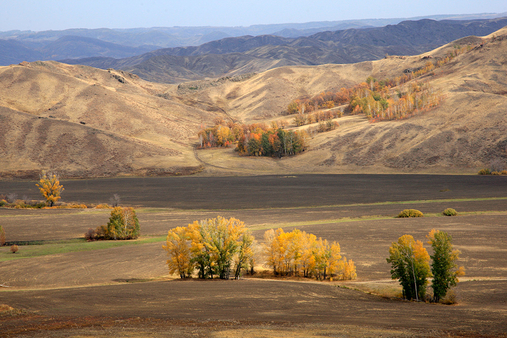 Осень 2010 №2