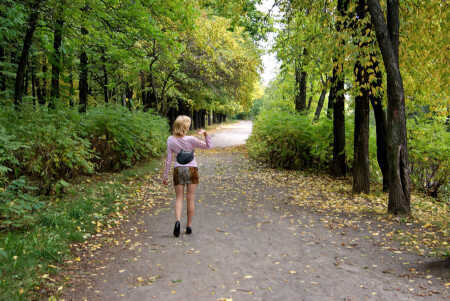 по дороге в осень...