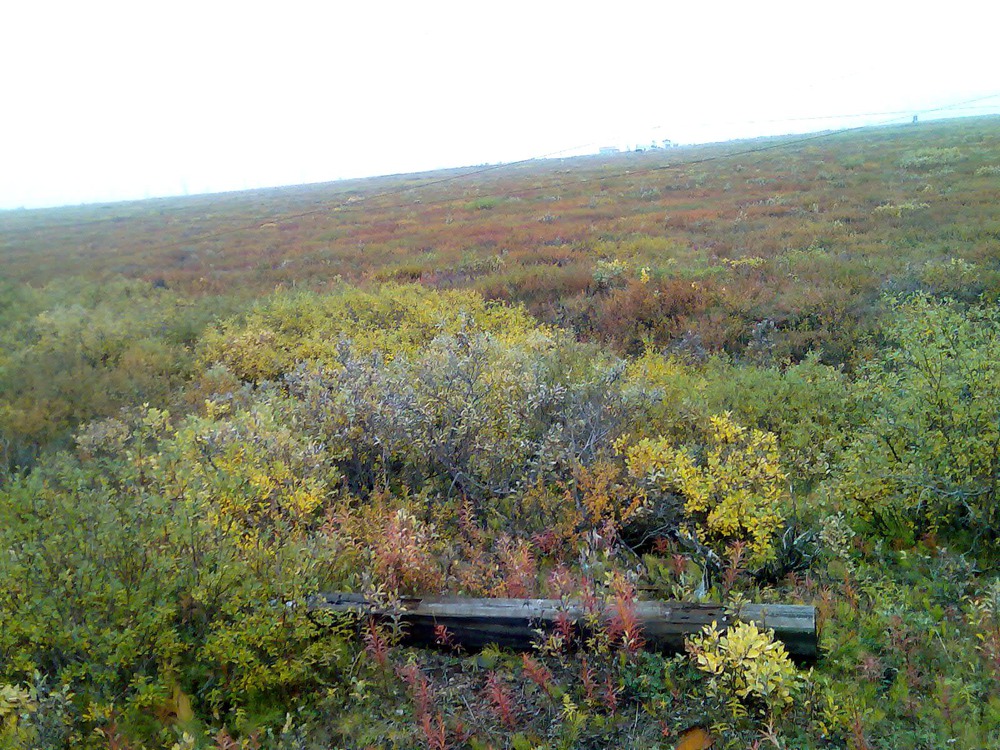 осень в Воркуте