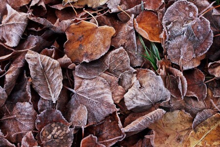 the winter not after mountains