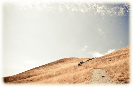 Лестница в небо