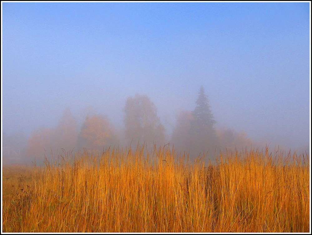 Осеннее утро