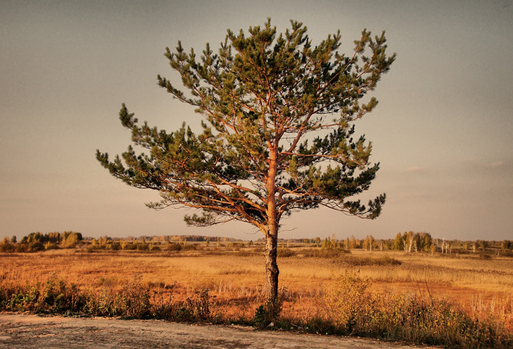 Осенний пейзаж