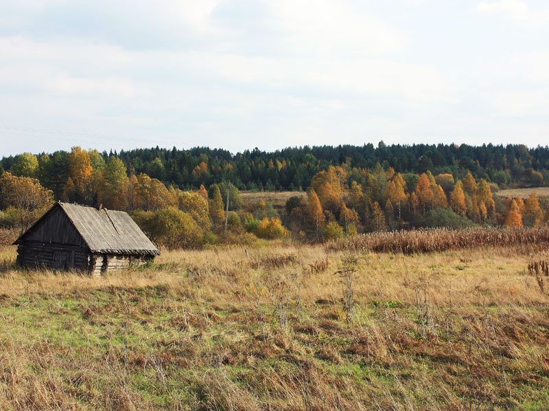 вепсский хутор