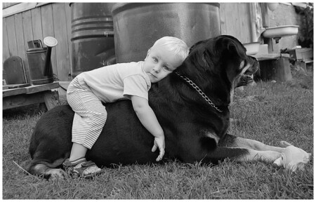 мягкий друг