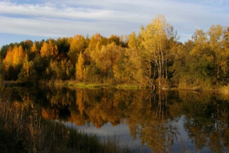 Осенний вечер