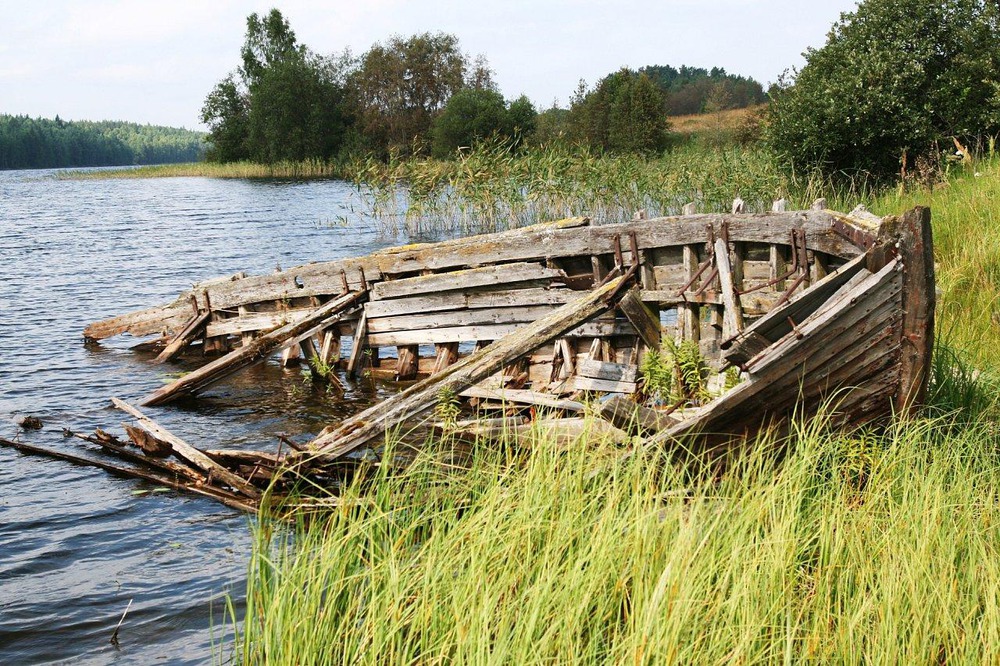 обещали бесплатный круиз....