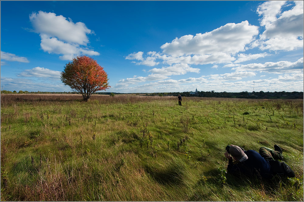 Tree and the photographer...