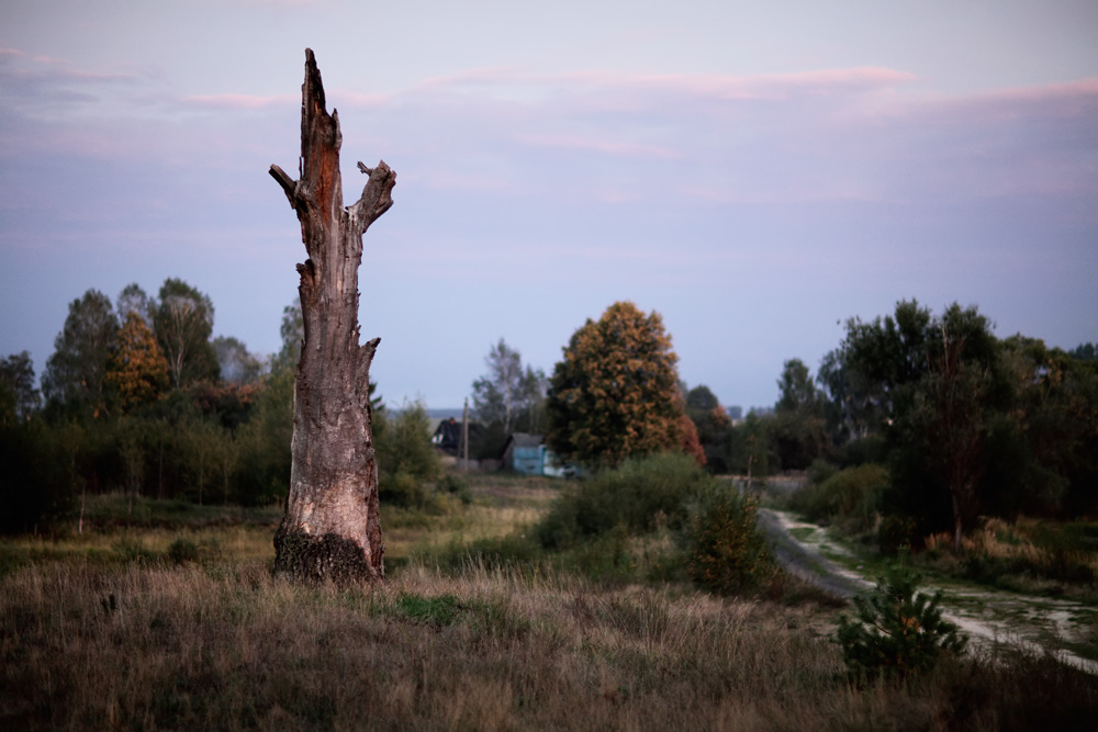 В брянской глуши