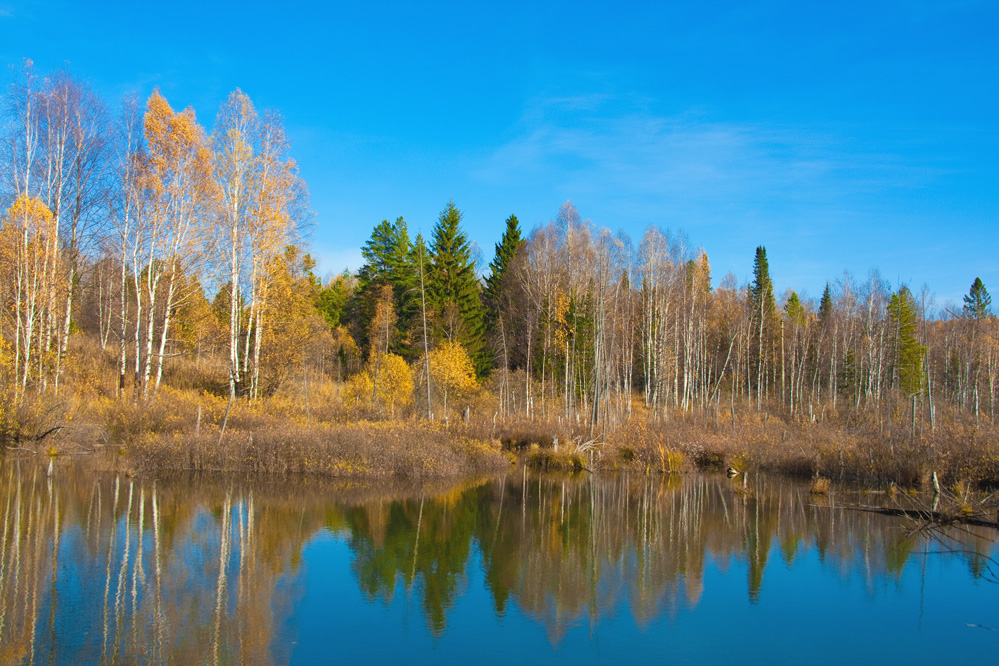 Краски осени