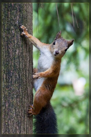 Семки есть?