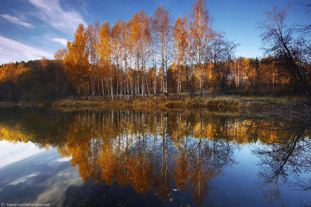 Кардиограмма осени