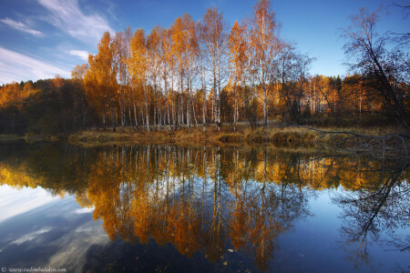 Кардиограмма осени