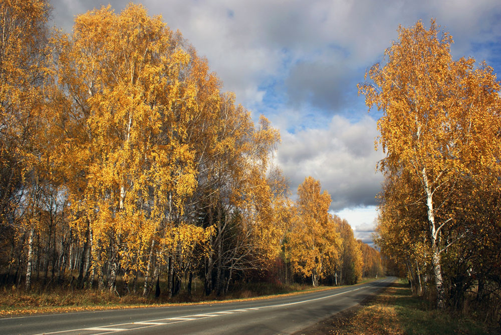 Дорога. Осень