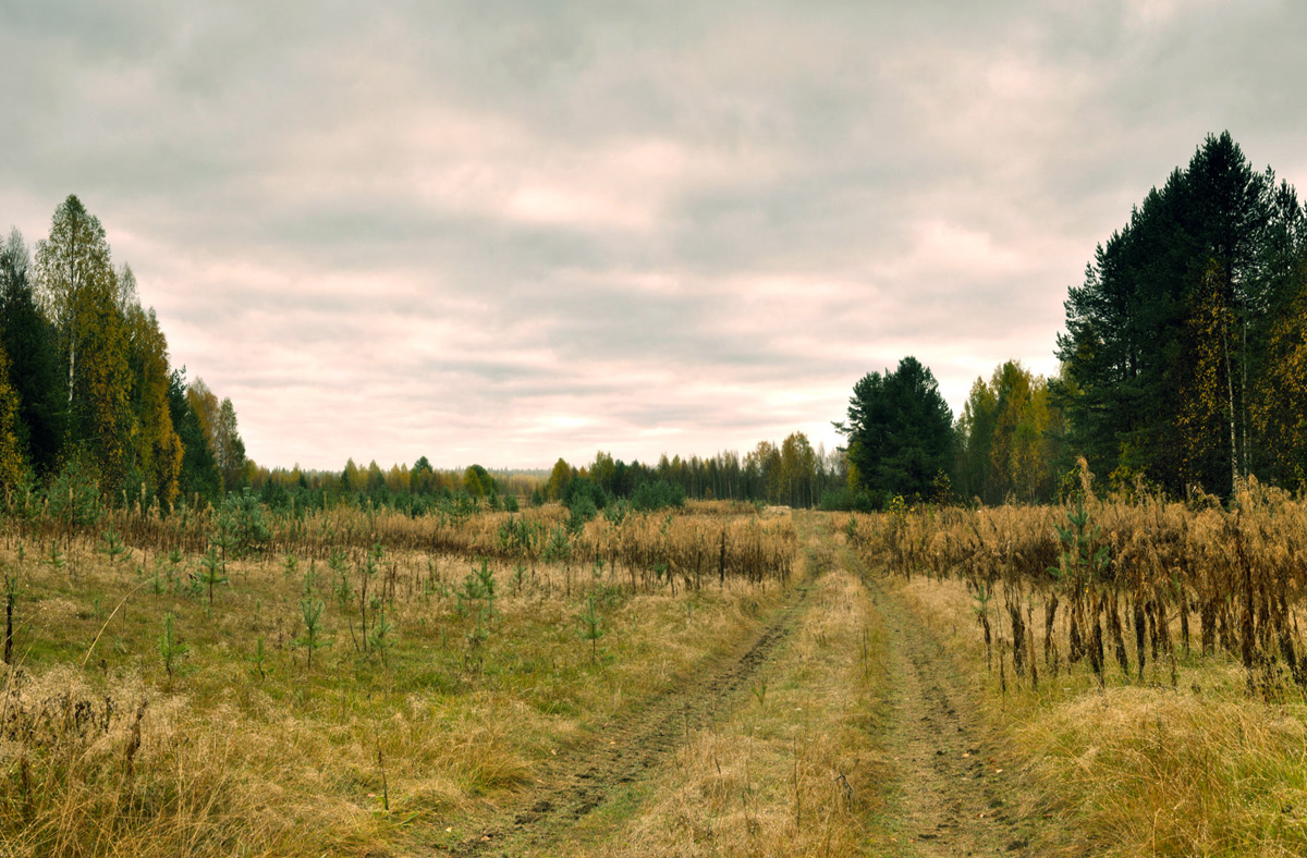 В предверии