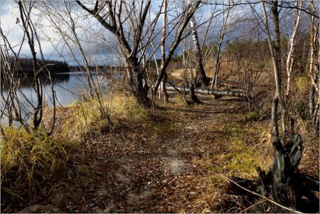 Осень. Берег Пякупура.