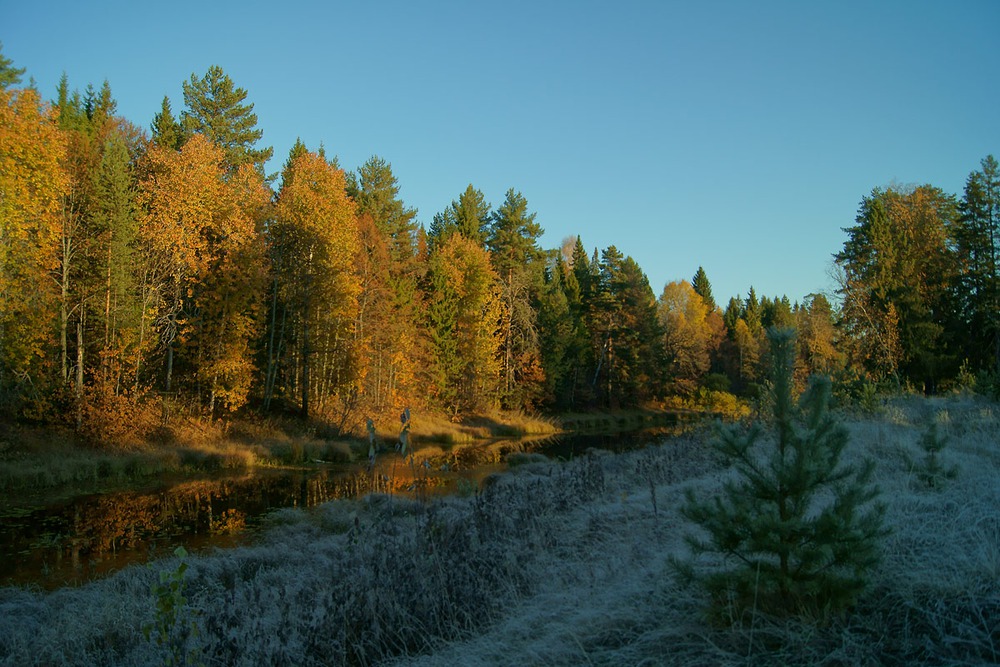 Осенние краски утра.