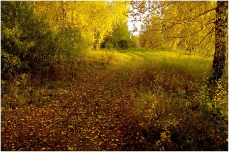 Золотая осень