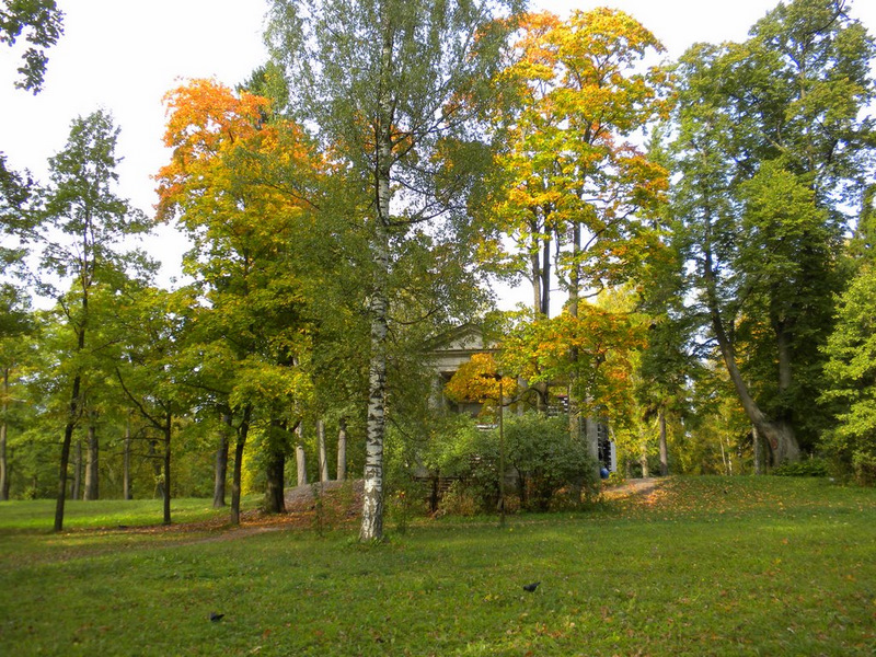 Осенний пейзаж