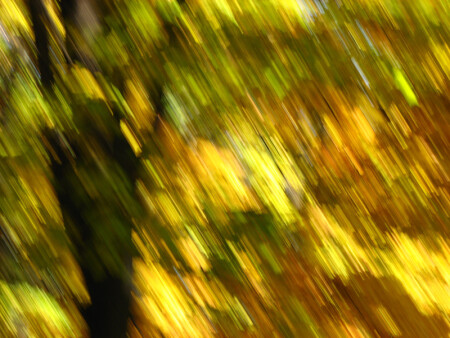 Краски осени