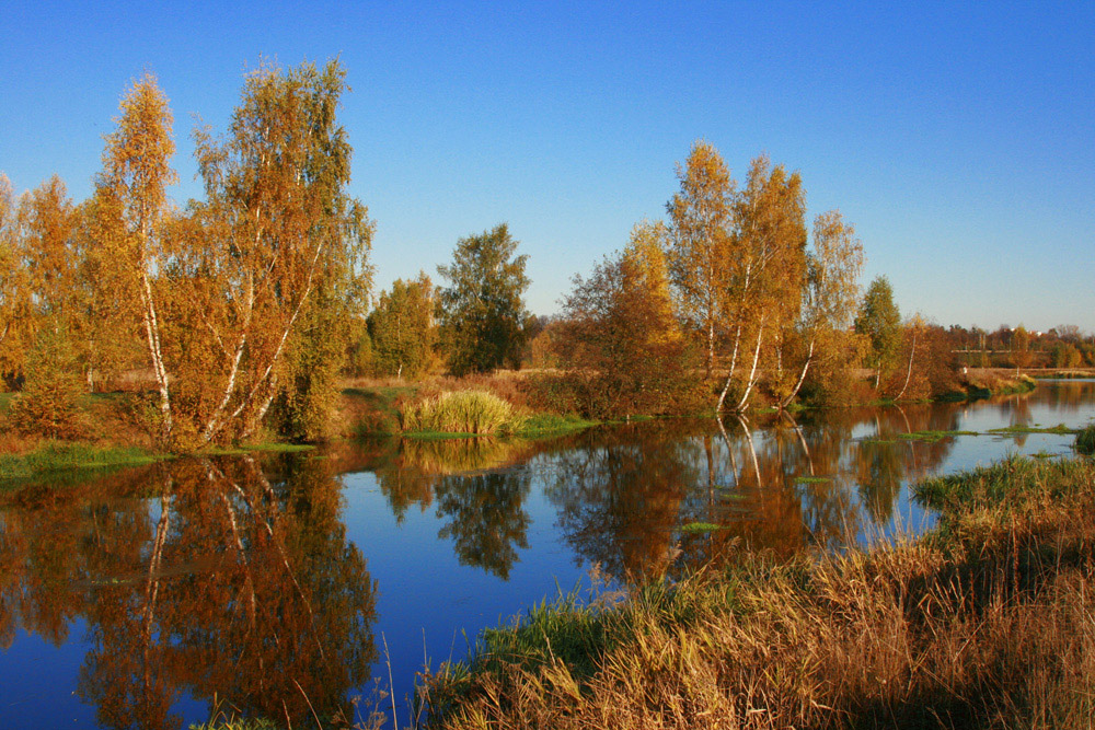 Золото осени