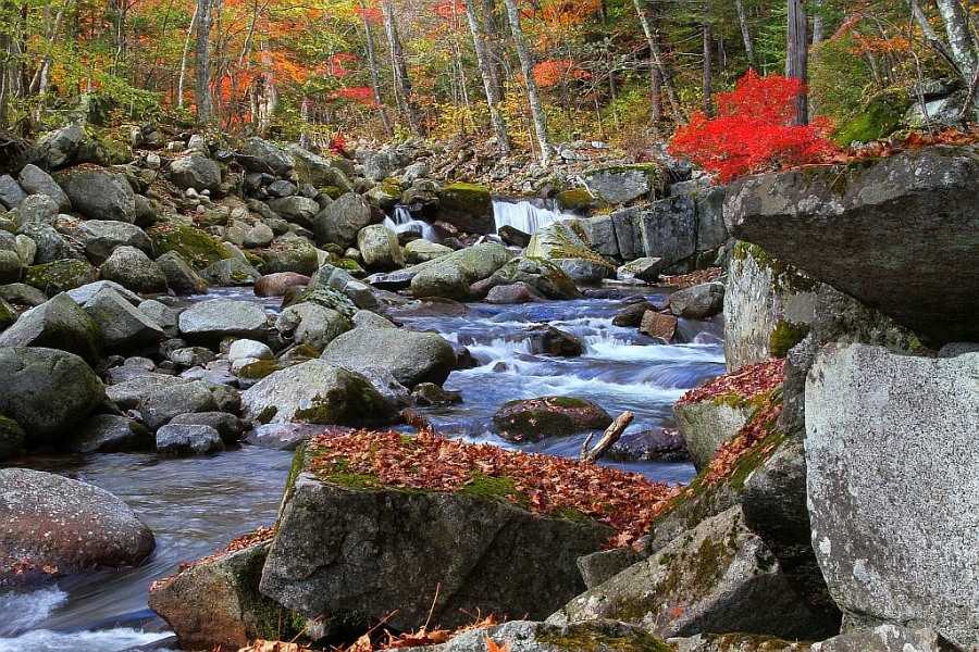 Приморская осень