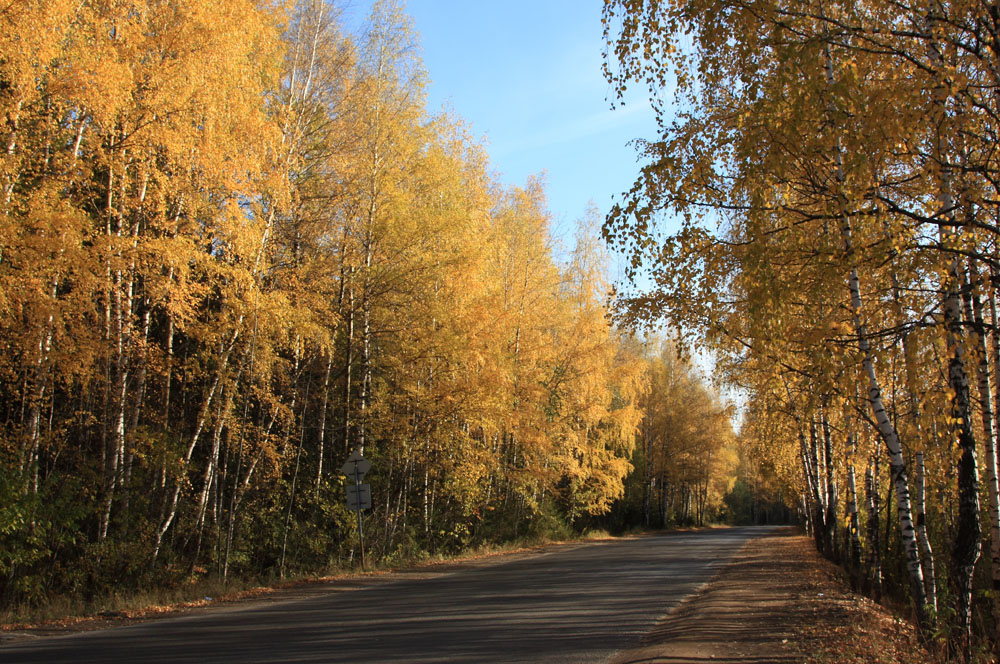 Золотая осень.