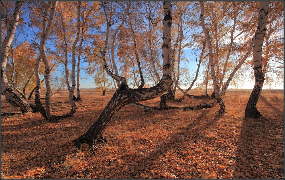 Танцующая осень