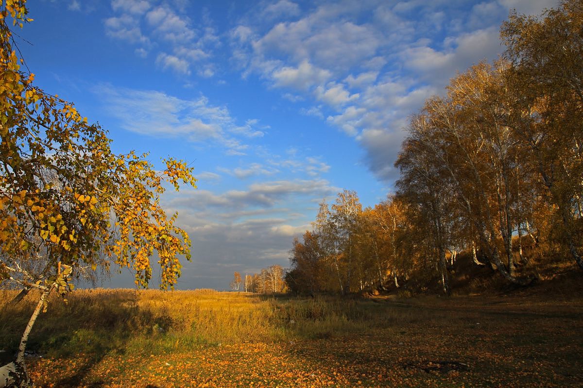 осенняя