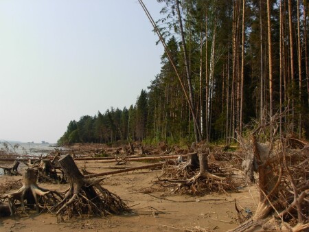 &amp;quot;Гармония&amp;quot;