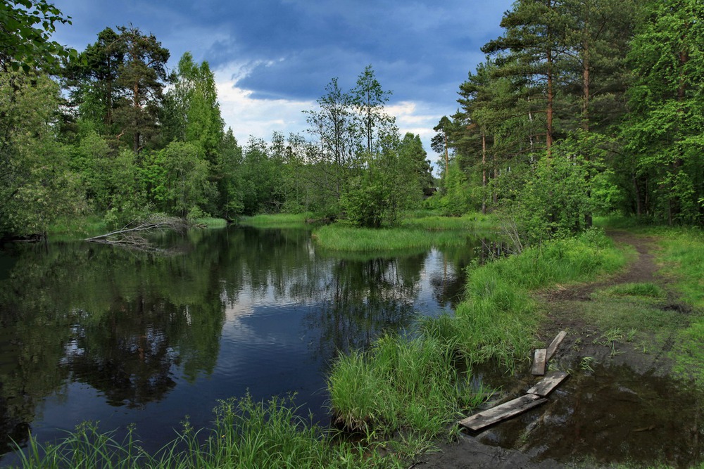 Перед грозой