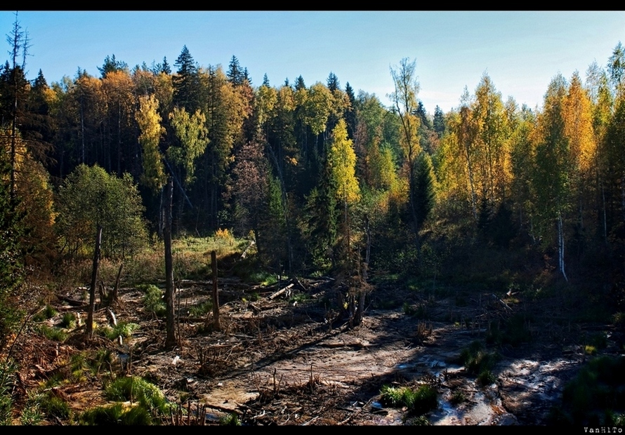 Неотразимая, печальная, умирающая...