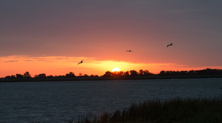 Астраханский рассвет