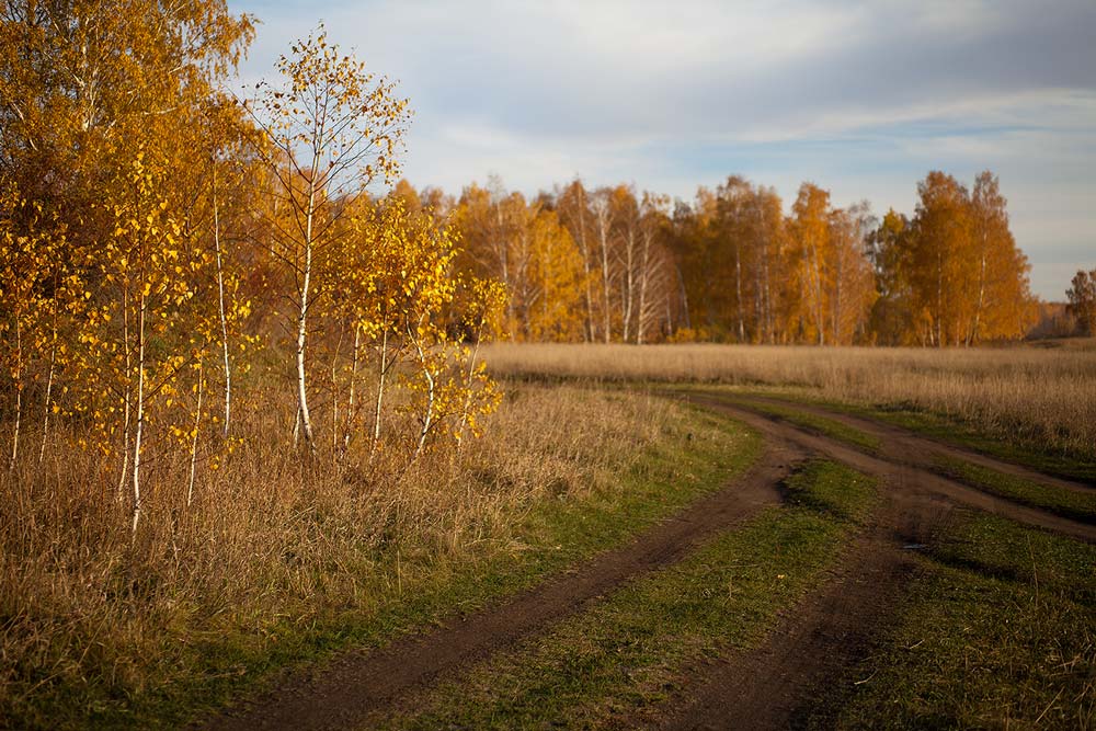 Осень у обочины.