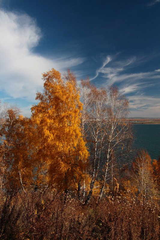 Осенний день