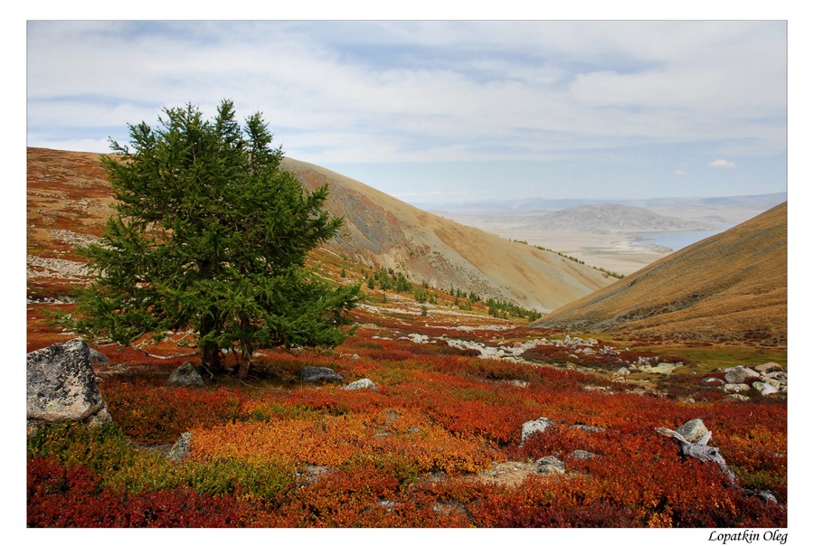 Краски осени