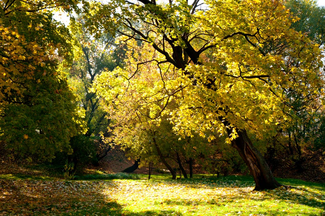 Осень в Лефортово