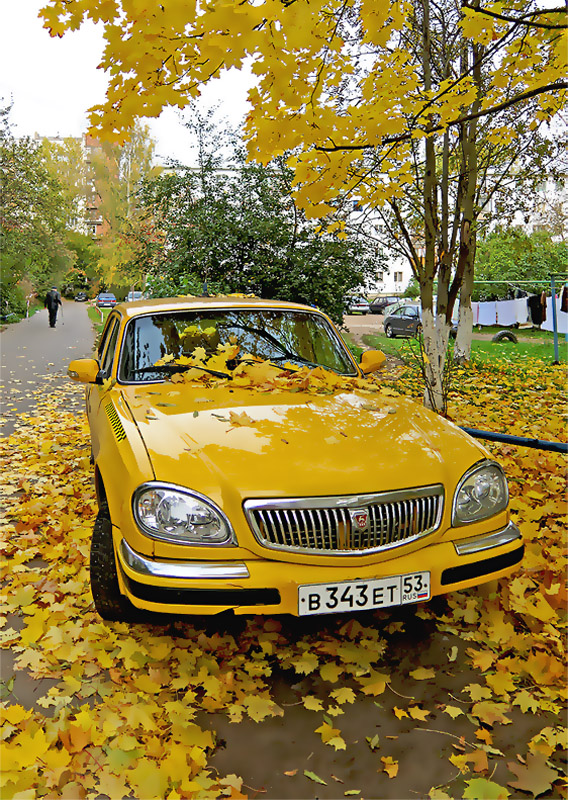 Дама в желтом