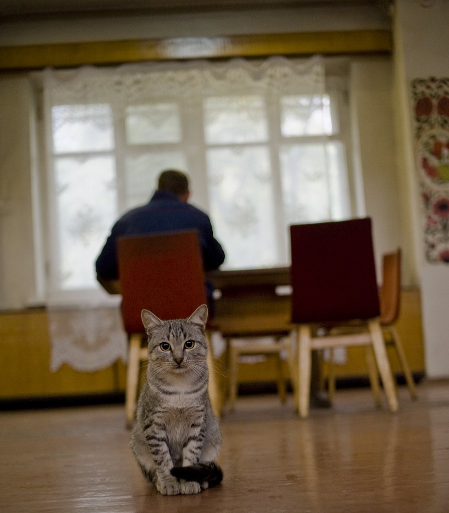 Кошак на литейно механическом заводе