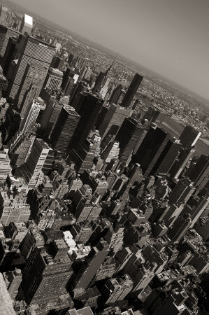 New York... New York
