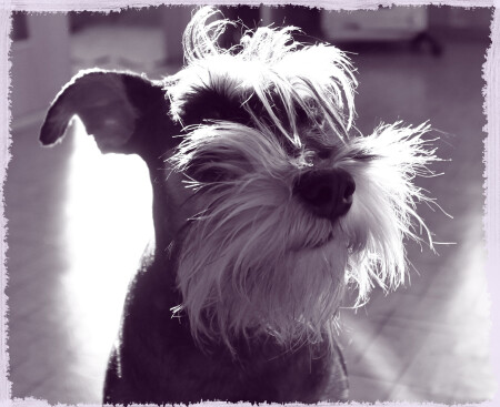 &amp;quot;внимательно слушаю...&amp;quot;