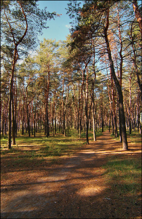 Солнечная осень