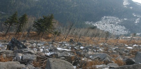 Искоса, низко голову наклоня.