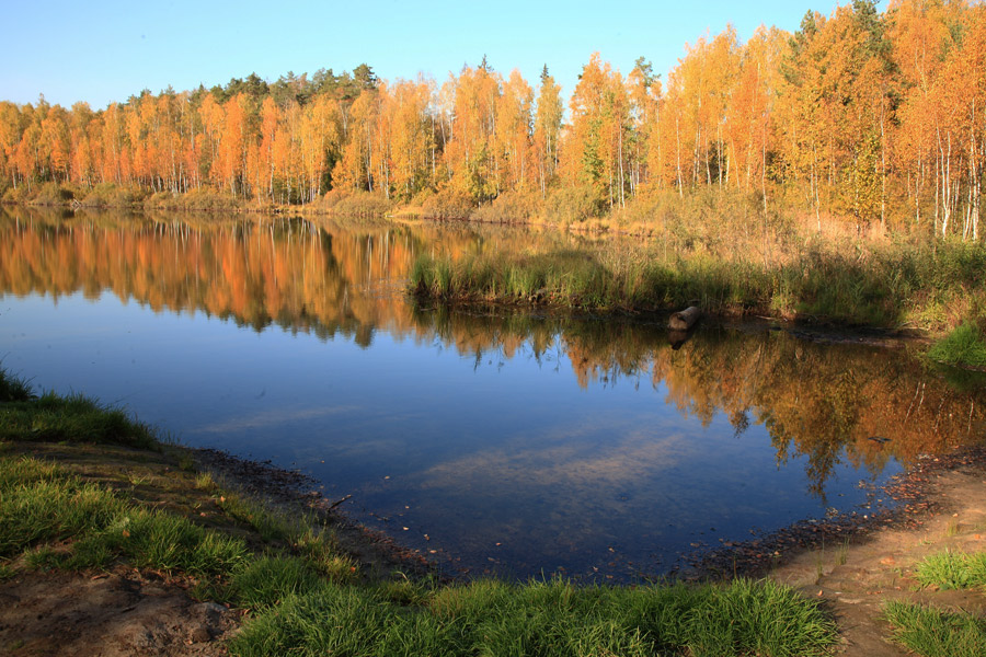 Золотая осень