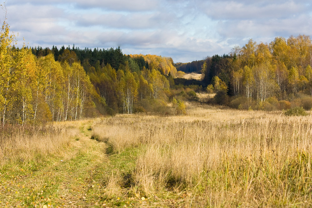 Просека