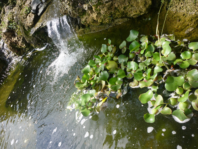 водопад