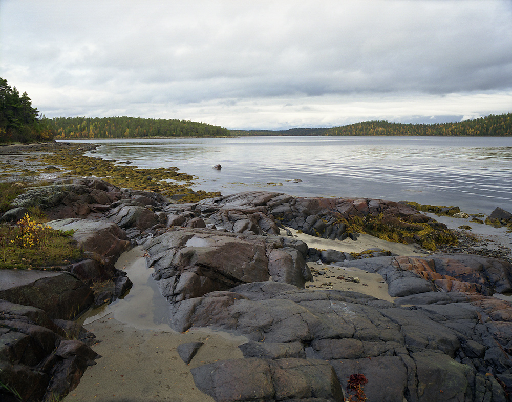 Белое море 2010 _ 1