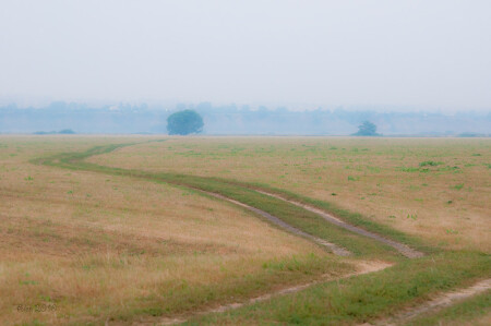 дорога