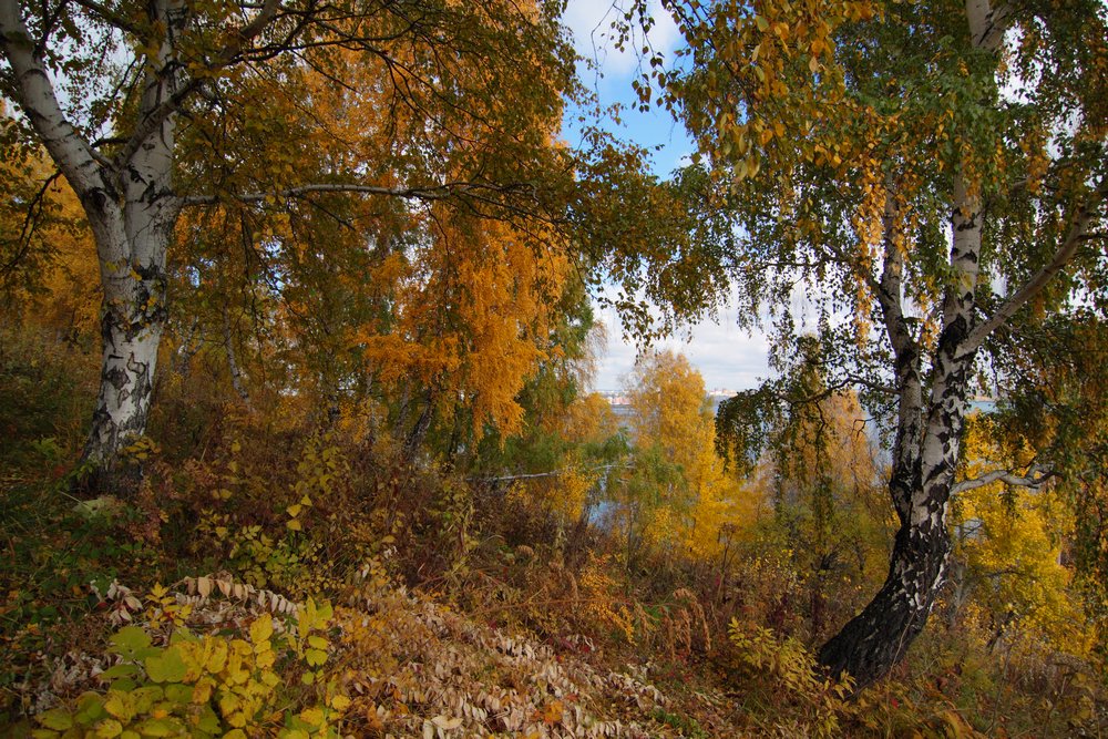 Осень.Краски