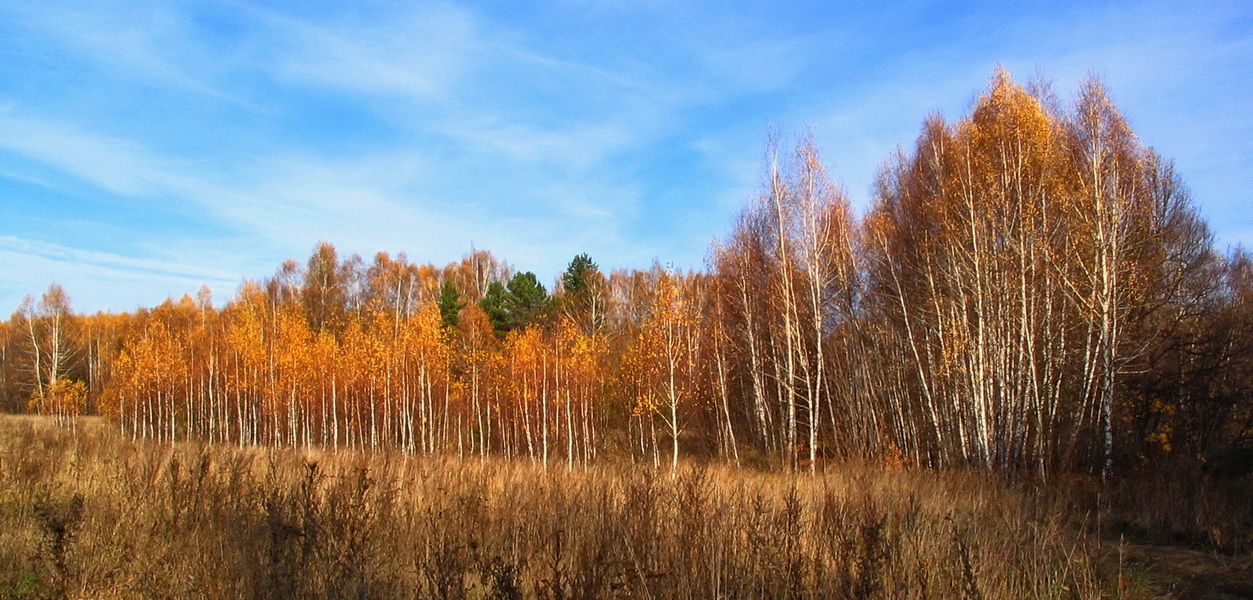 Осень